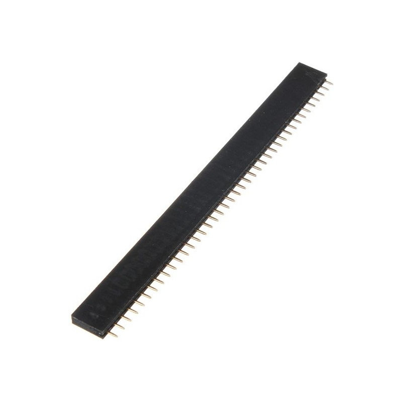 Header 40 Pin (female)