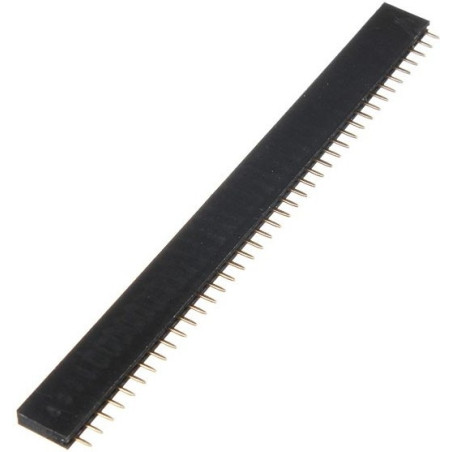 Header 40 Pin (female)