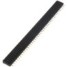Header 40 Pin (female)
